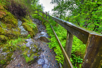 Picturesque landscape of a mountain forest with traditional nature of Scotland.