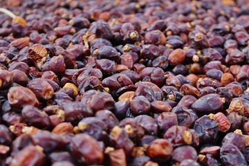 Drying Dates in Birkat Al Mouz