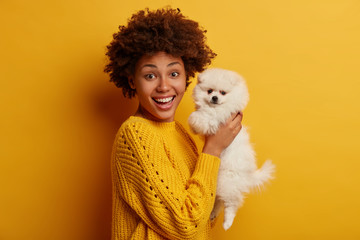 Glad dark skinned pet owner raises little spitz dog in hands, dressed in casual outfit, talks to...