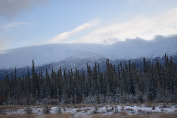 winter landscape