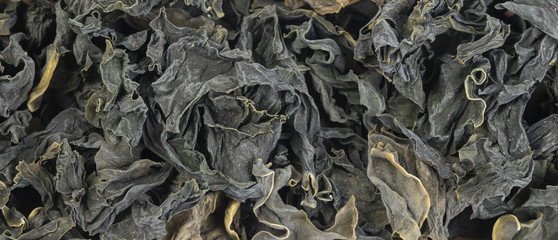 Dried kombu seaweed background. Natural seasoning texture. spices and food ingredients.