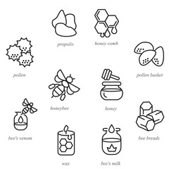 Icons of beekeeping products in line style 