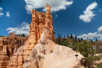Hoodoo in the Bryce Canyon, Utah