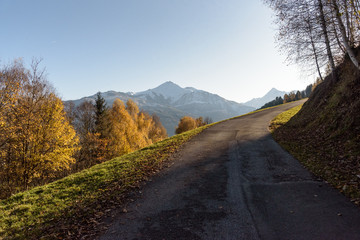 Street and hiking trail in autumn up the Keilberg, Schmittenhöhe in Schüttdorf, with peak of Kitzsteinhorn in background, Zell am See, Salzburger Land, Austria.