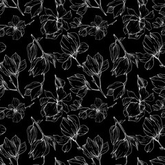 Vector Magnolia floral botanical flowers. Black and white engraved ink art. Seamless background pattern.