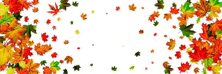 Autumn leaves on ground. November falling pattern background. Thanksgiving season concept