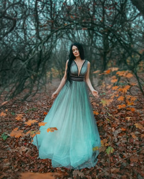 brunette woman with long hair walks in autumn forest of November. Background black bare trees and fallen orange leaves. Queen enjoys nature. Royal luxury puffy turquoise dress. Graduation Party Image