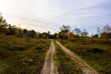 Fototapeta na wymiar Way in the park in autumn. Fall forest landscape.