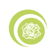 Cute and Unique Rose Flower Vector on the Green Ball Background 