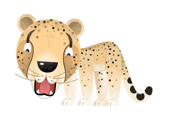 cartoon scene with cheetah on white background - illustration for children