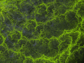 green abstract fractal background 3d rendering illustration