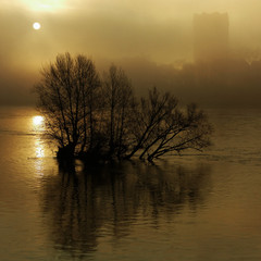 Levé de soleil doré sur la Loire