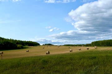 Obraz premium Storm front over a field with round bales