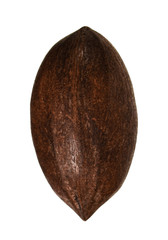 Pecan nut in the shell
