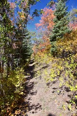 Hiking path views in Oquirrh Mountains with fall leaves along the Wasatch Front Rocky Mountains, by Kennecott Rio Tinto Copper mine, Tooele and the Great Salt Lake Valley, Utah, United States.