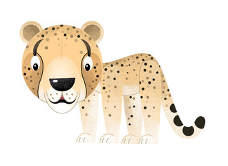 cartoon scene with cheetah on white background - illustration for children