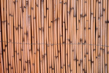 Reed screening texture, Natural Willow Garden Fence, Bamboo texture background.