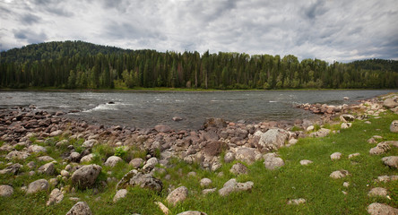 mountain resort, panoramic view of the river against the background of the forest. large round cobblestones in the grass by the river. the sun shines through the clouds