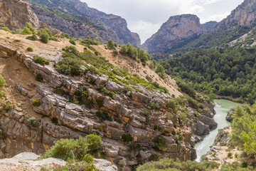 Naklejka premium River by rocky canyon