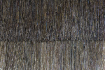cutting hair 