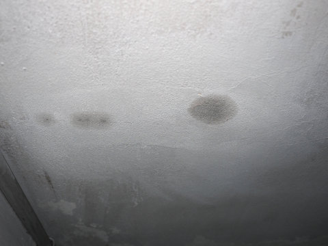 Dampness Moisture On Ceiling With Drops Of Water Infiltration