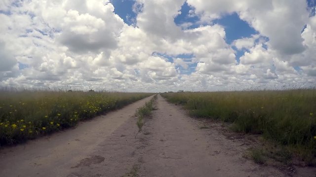 Driving 4x4 on dirt roads on safari in the Central kalahari game reserve, Botswana.
