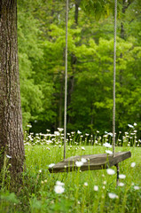 Rope Swing in Daisies, Series