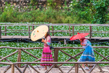 Tourists take photos against the fields of flowers in the small little mountain village of Cat Cat