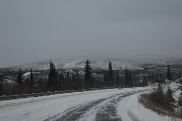 carretera en invierno entre bosque nevado