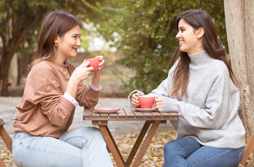 Two beautiful young women talking and enjoying on a sunny autumn day