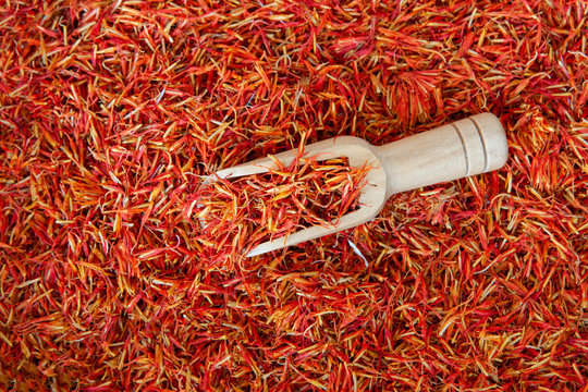 Many spicy saffron spice in the whole background with a wooden spice spatula