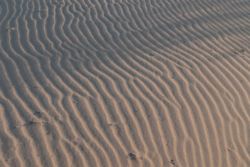 Obraz premium Mojave desert sand dune landscape. Kelso Dunes. 