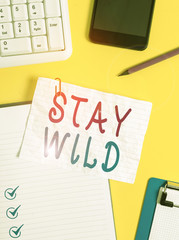 Writing note showing Stay Wild. Business concept for keep being you and doing what you re doing Never want to change Crumpled white paper on table paper clips clock mobile and pc keyboard