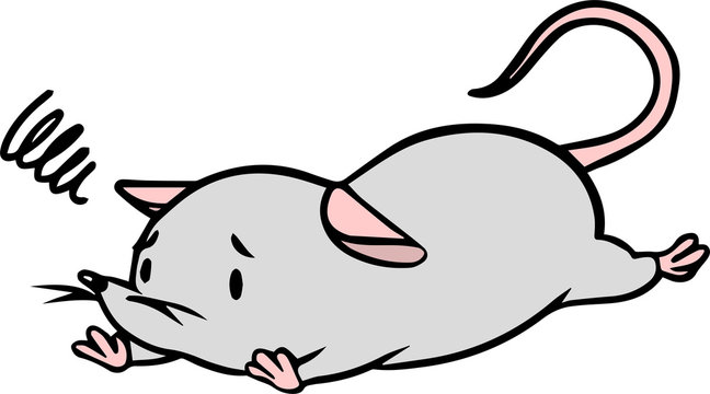 実験動物 Images Browse 249 Stock Photos Vectors And Video Adobe Stock 実験動物 Images Browse 249 Stock Photos Vectors And Video Adobe Stock