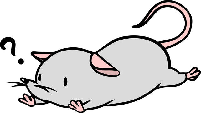 実験動物 Images Browse 187 Stock Photos Vectors And Video Adobe Stock