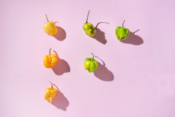 orange and green habanero peppers on pink background