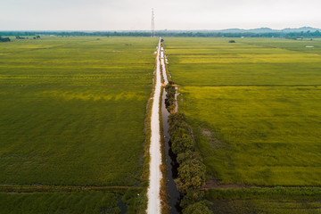 Aerial view of beautiful landscape of paddy field.