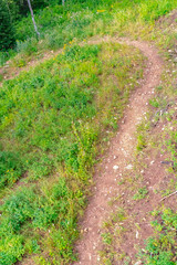 Close up of a dirt trail in the mountain of Park City Utah on a sunny summer day