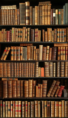 old books on wooden shelf - obrazy, fototapety, plakaty