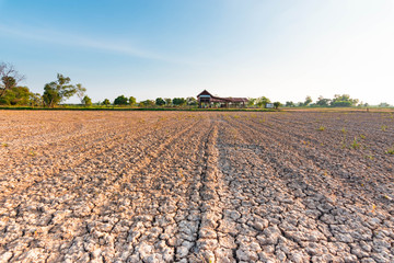 The fields are dry, the land is broken. And the evening sun