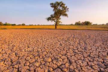 The fields are dry, the land is broken. And the evening sun