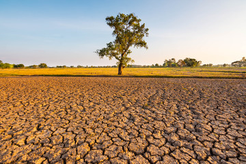 The fields are dry, the land is broken. And the evening sun