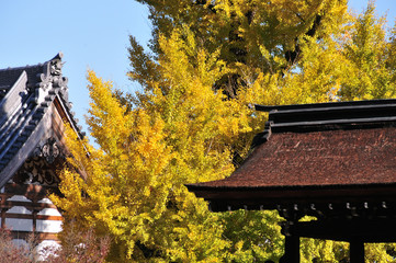 虎渓山永保寺