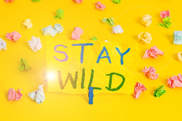 Handwriting text writing Stay Wild. Conceptual photo keep being you and doing what you re doing Never want to change Colored crumpled papers empty reminder white floor background clothespin