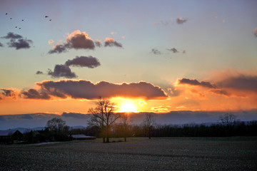 Sunrise over farm with trees