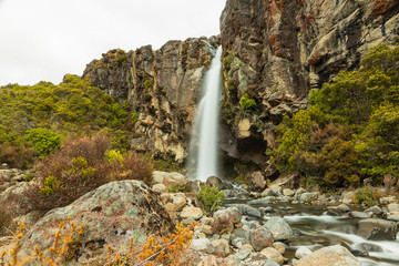 ニュージーランド　トンガリロ国立公園のタマ・レイク・トラックにあるタラナキ・フォールズ