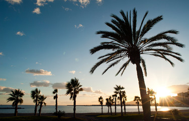 Obraz na płótnie Canvas fantastic sunset on the beach with palm trees and sunset