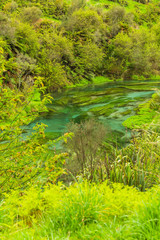 ニュージーランド　プタルルにあるブルースプリングの澄んだ水