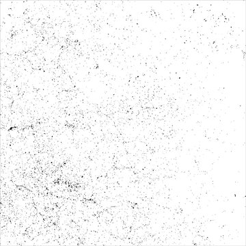 spats black and white paint