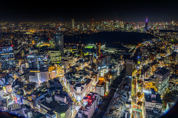 Obraz premium Sceneria Japonii w Tokyo Shinjuku